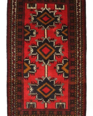 Beluch 116x199 cm