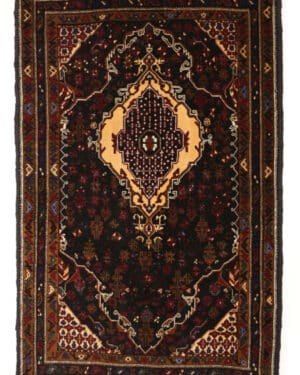 Beluch 119x193 cm