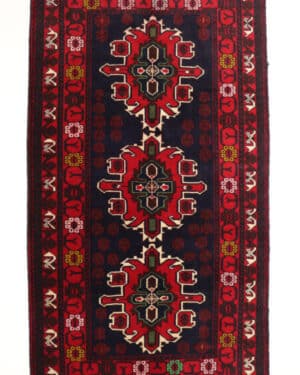 Beluch 119x198 cm