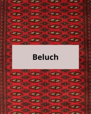 Beluch